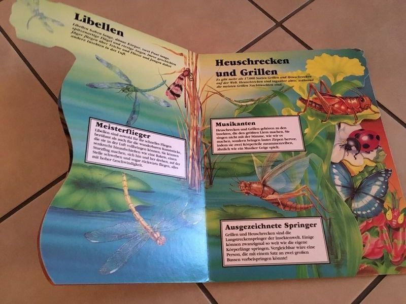 Libri: Insekten Kinderbuch – Usato da Bergdietikon venduto da book-4-you 1