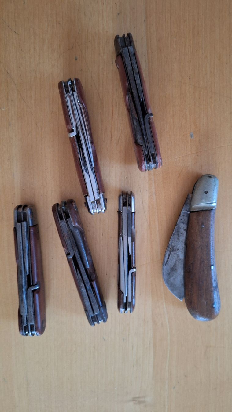 Schweizer Armee Coltelli tascabile: 6 alte Militärsackmesser – Usato da Bönigen venduto da saft195619 1