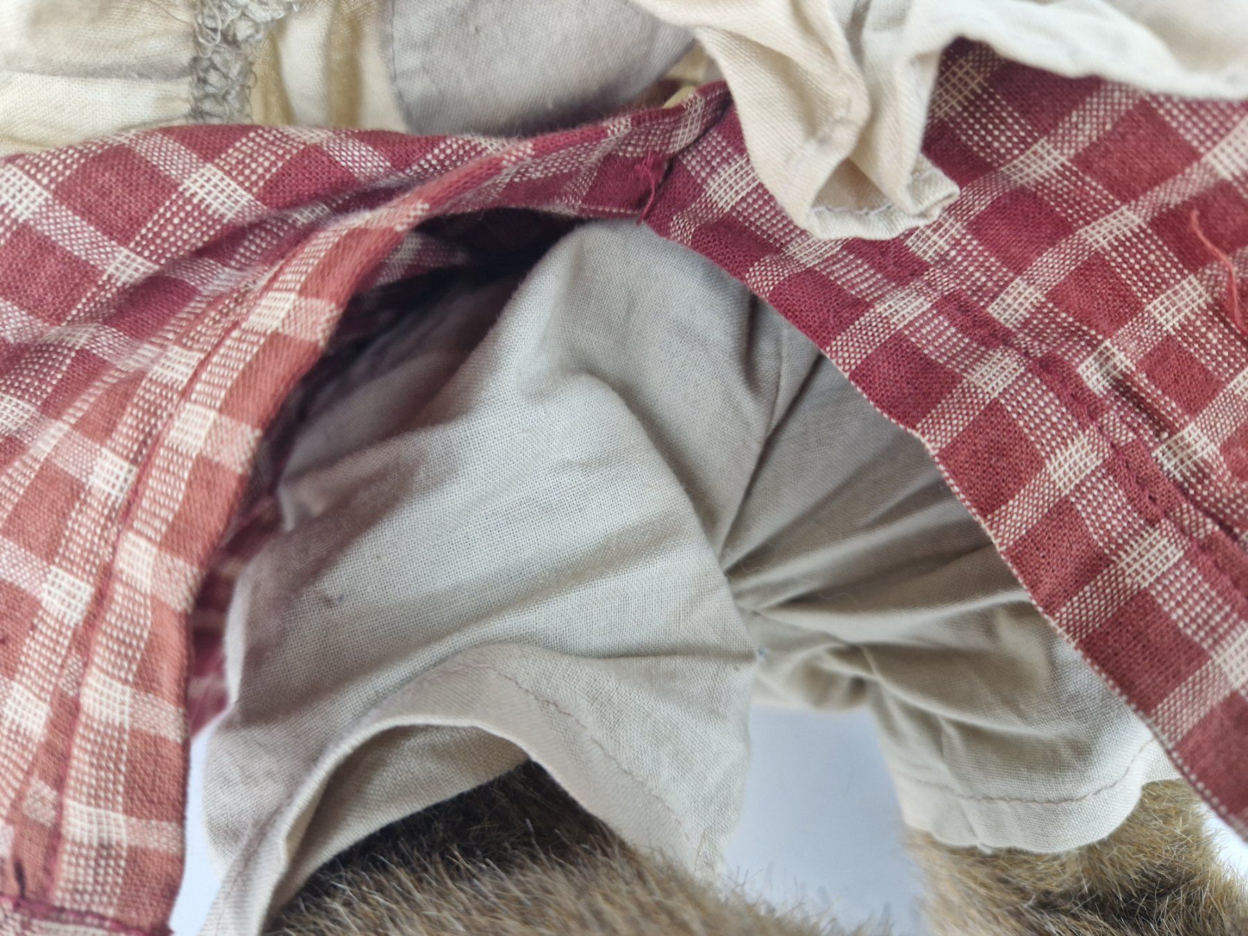 Giocattoli: weiblicher Teddybär Sweetie Pie – Usato da Muhen venduto da Restwert_Muhen 8