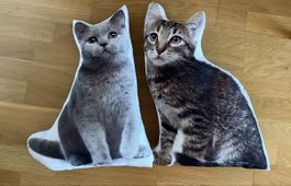 2 super süsse Katzen-Fotokissen (47 cm hoch) zu verkaufen