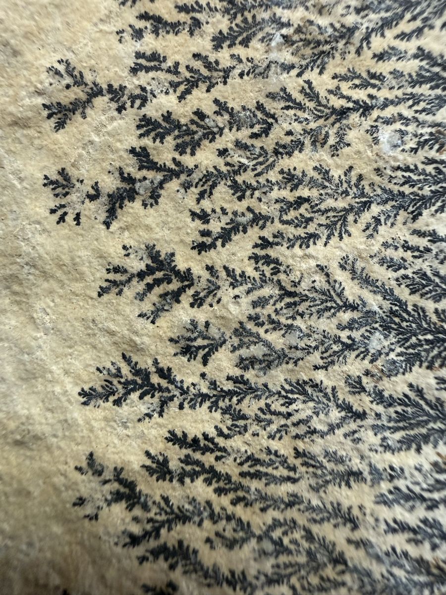 Minerali & Pietre curative: Manganoxid-Dendrit – Usato da Grenchen venduto da Bastet007 5