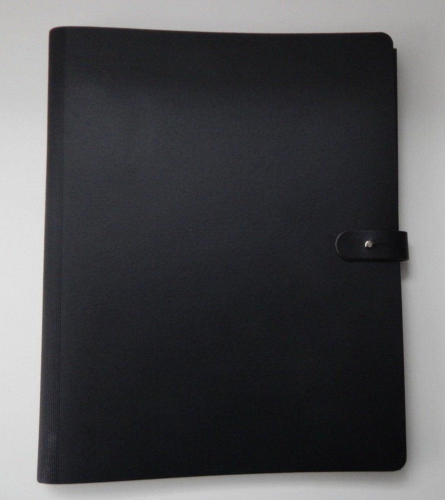 Valigie & Borse: Dokumentenmappe, Präsentationsbuch, im Hochformat – Usato da Gränichen venduto da Tonio