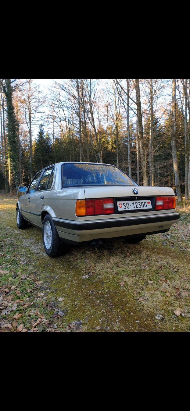 Automobili: BMW E30 320i – Usato da Balsthal venduto da Purina 8