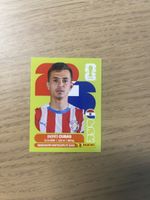Panini FIFA WC PAR 12
