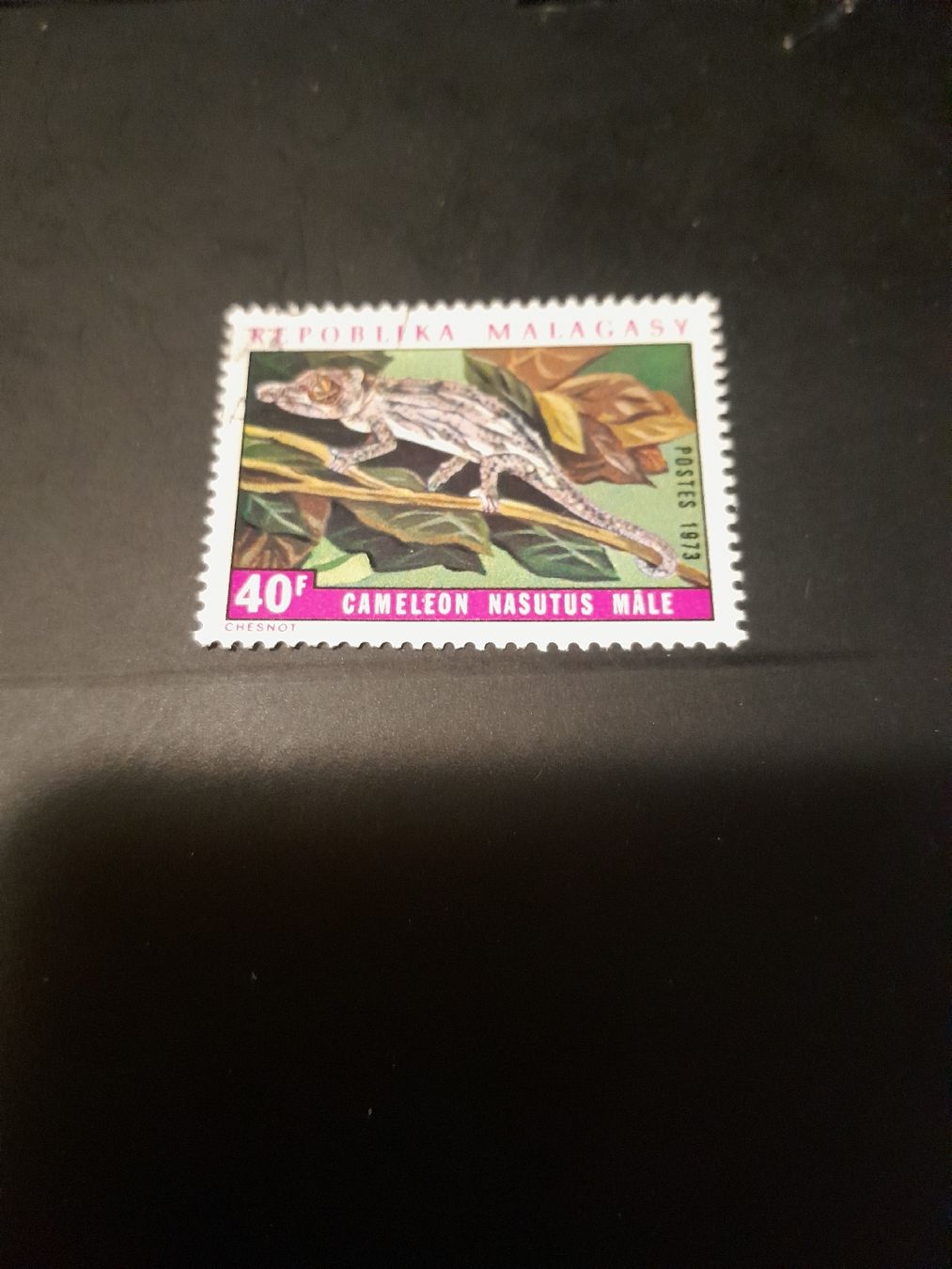 Alle Briefmarken: Timbre rare Madagascar 1973, Caméléon Nasutus Mâle ! – Gebraucht aus Marly von globetrotter1723