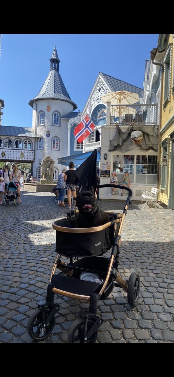 Carrozzine: Kinderwagen für Hund – Usato da Hergiswil NW venduto da Kylee 1