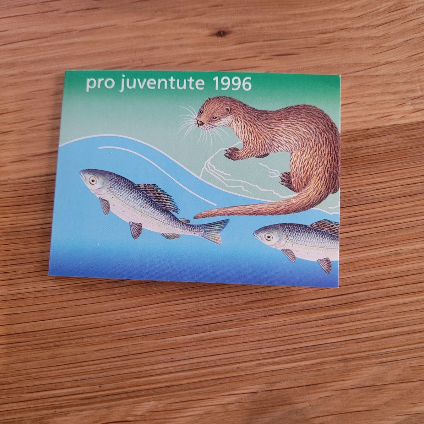 Tutti i francobolli: Markenheftchen Carnet De Timbre Pro Juventute 1996 – Usato da Biel/Bienne venduto da Destockweb