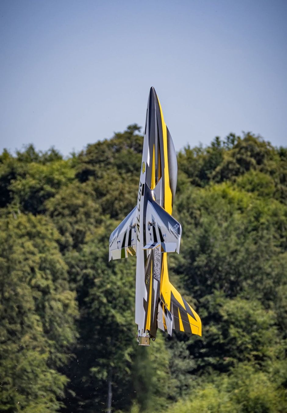 RC Modellbau: Falcon 2.8m 3d jet skywing – Gebraucht aus Môtiers NE von Antho330 3