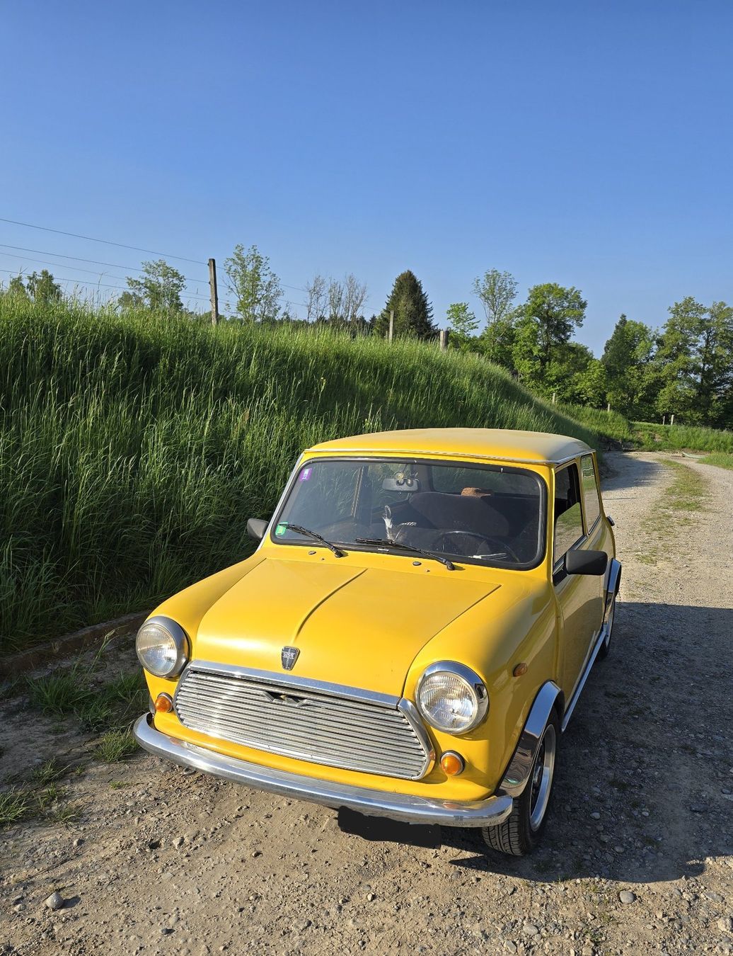 Mini Autos: Oldtimer Mini 1100 Spezial – D'occasion à Rudolfstetten par Enrico023