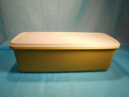 Grosser Tupperware Behälter, olivegrün