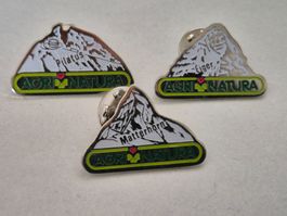 Set Agri Natura - Matterhorn Eiger Pilatus   -     Pin