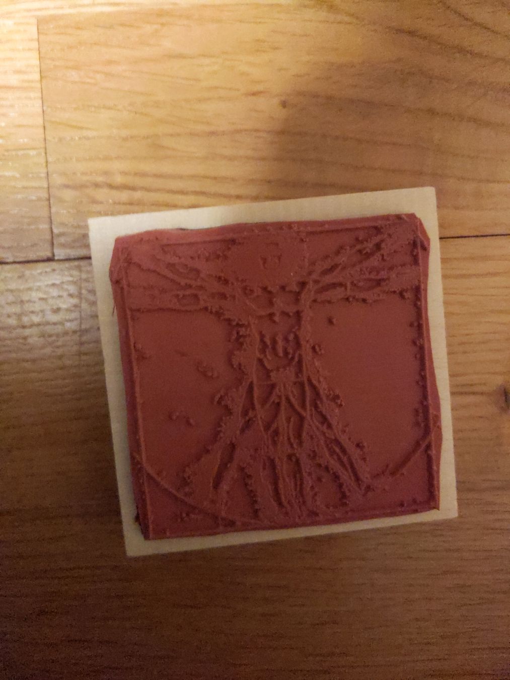 Timbri: Leonardo Da Vinci Stempel – Usato da Oberhasli venduto da Joe_ahoi 1