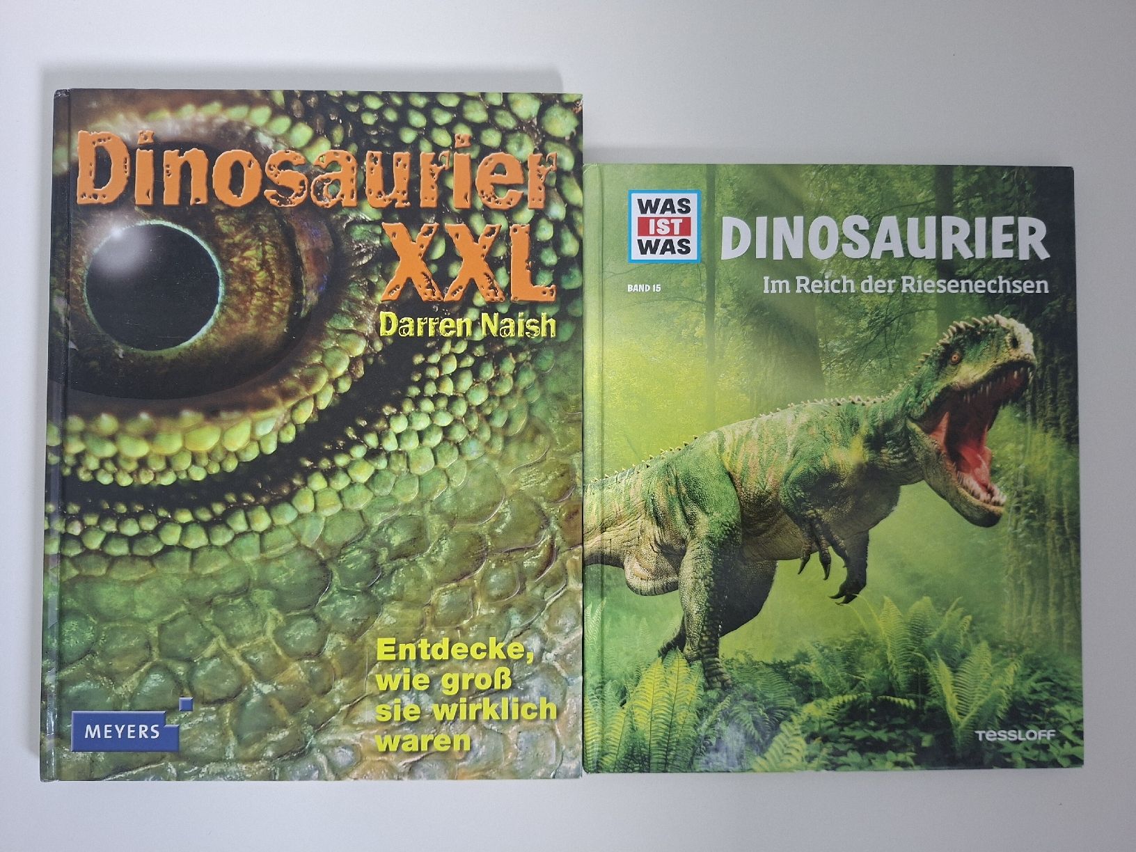 Giocattoli: Dino-Bundle inkl. Expertenbox, Bücher und Sammelfigur – Usato da Pieterlen venduto da jak_c2lj 5