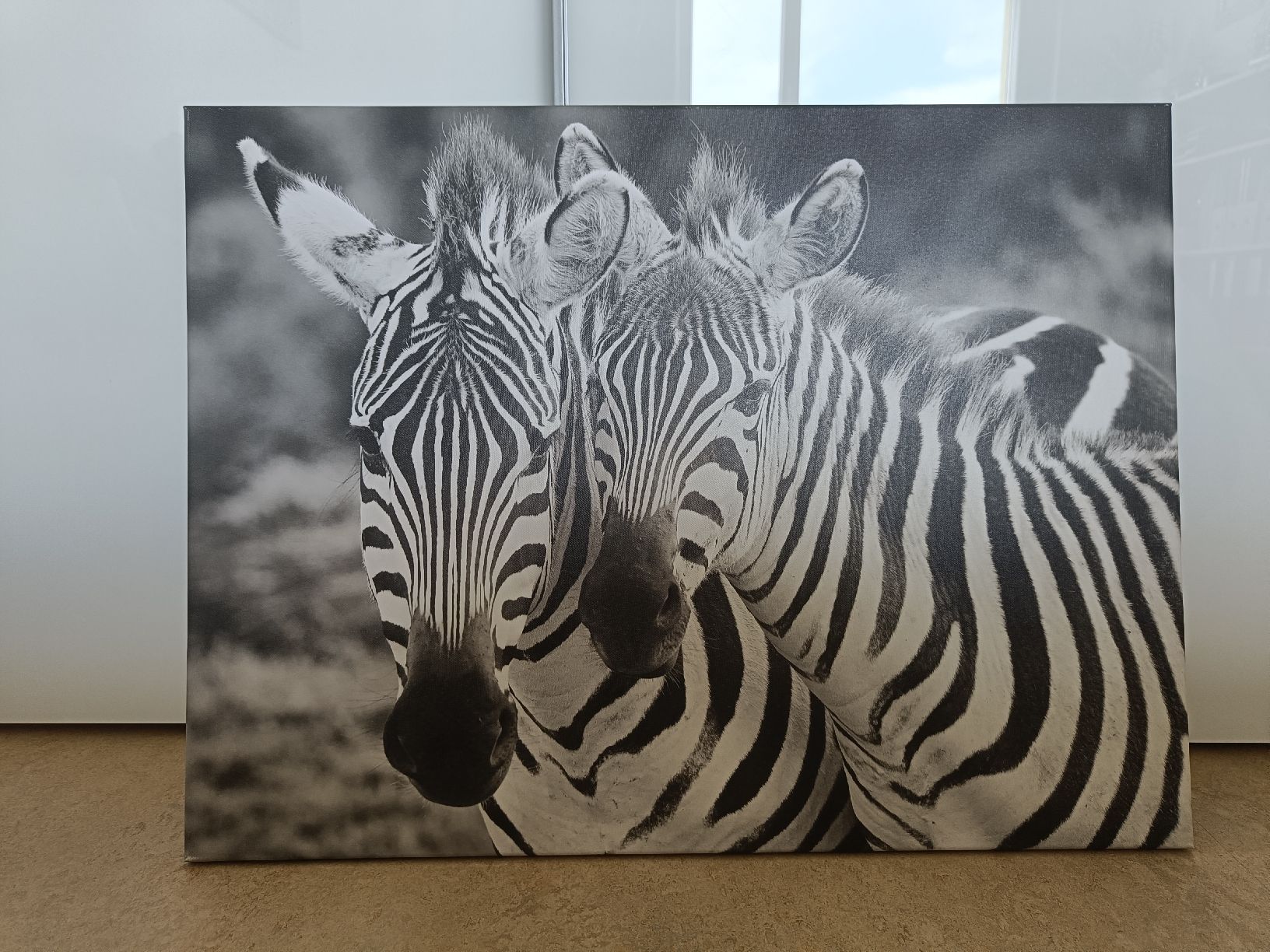 Poster & Bilder: Fotoleinwand Zebras – Gebraucht aus Dielsdorf von Warawawa