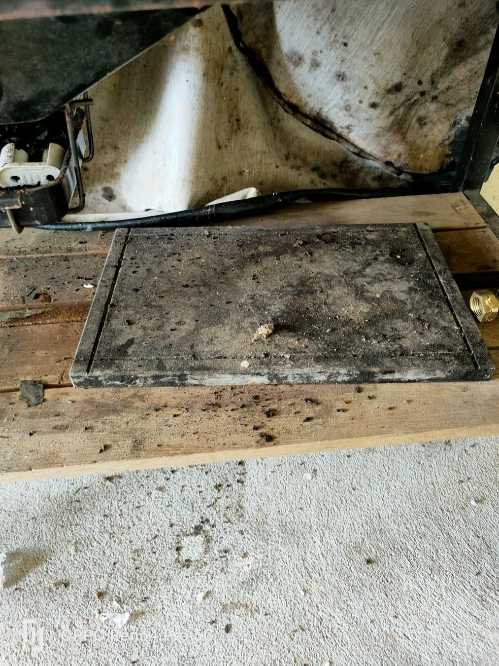 Weber Griglie: Weber Grill als Rarität – Usato da Teufenthal AG venduto da wika56 6