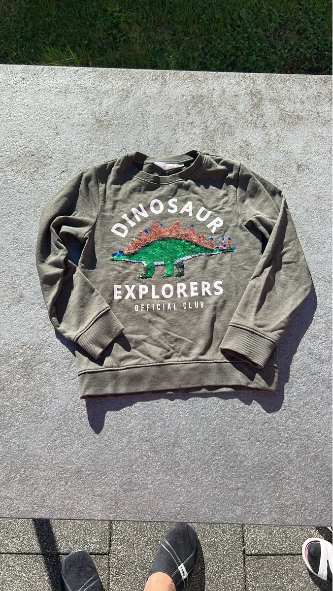 Pullover & Sweatshirts: Dino Kinder Pulli Explorers Grösse 122/128- – Gebraucht aus Arisdorf von Checkmaster