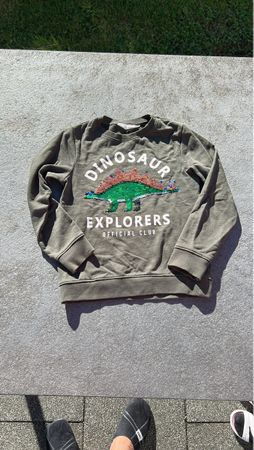 Dino Kinder Pulli Explorers Grösse 122/128-