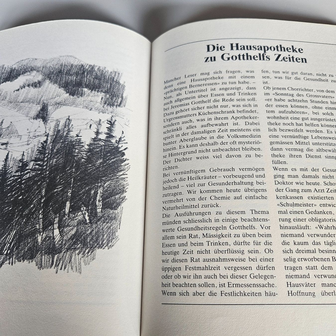 Libri: Ein ganz prächtig Berneressen – Usato da Uster venduto da Sonnenblume212 1