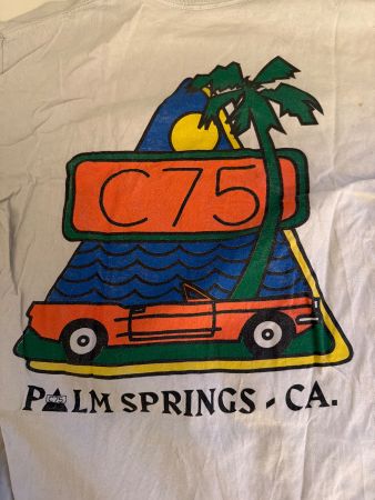 T-Shirt Palm Springs C75 Grafik Herren Grösse L