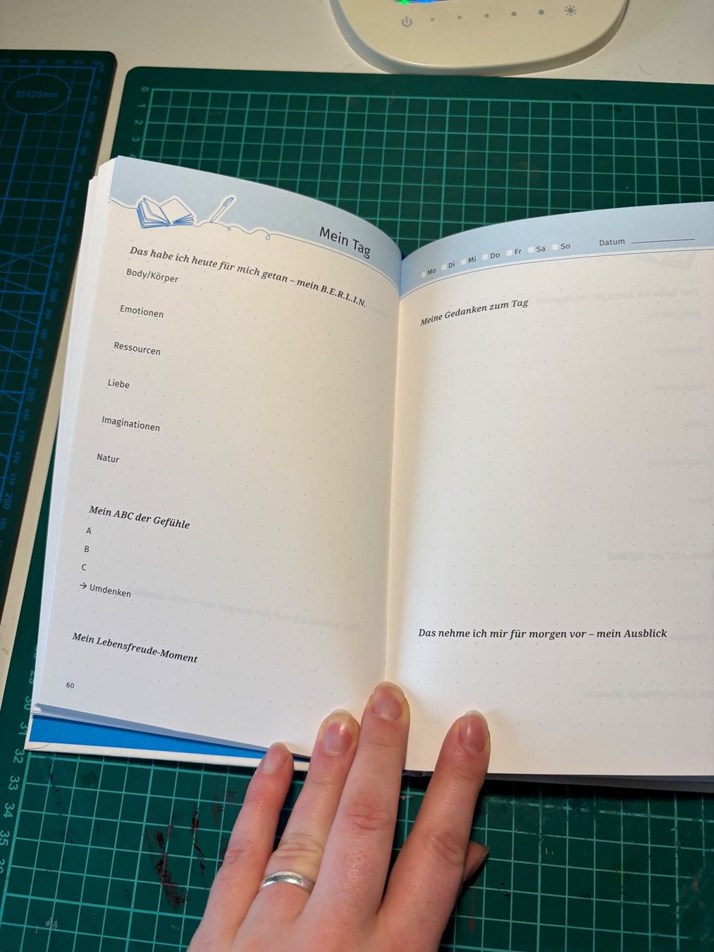 Libri: Lebensfreude Tagebuch – Nuovo (secondo la descrizione) da Kerzers venduto da chassotce 2