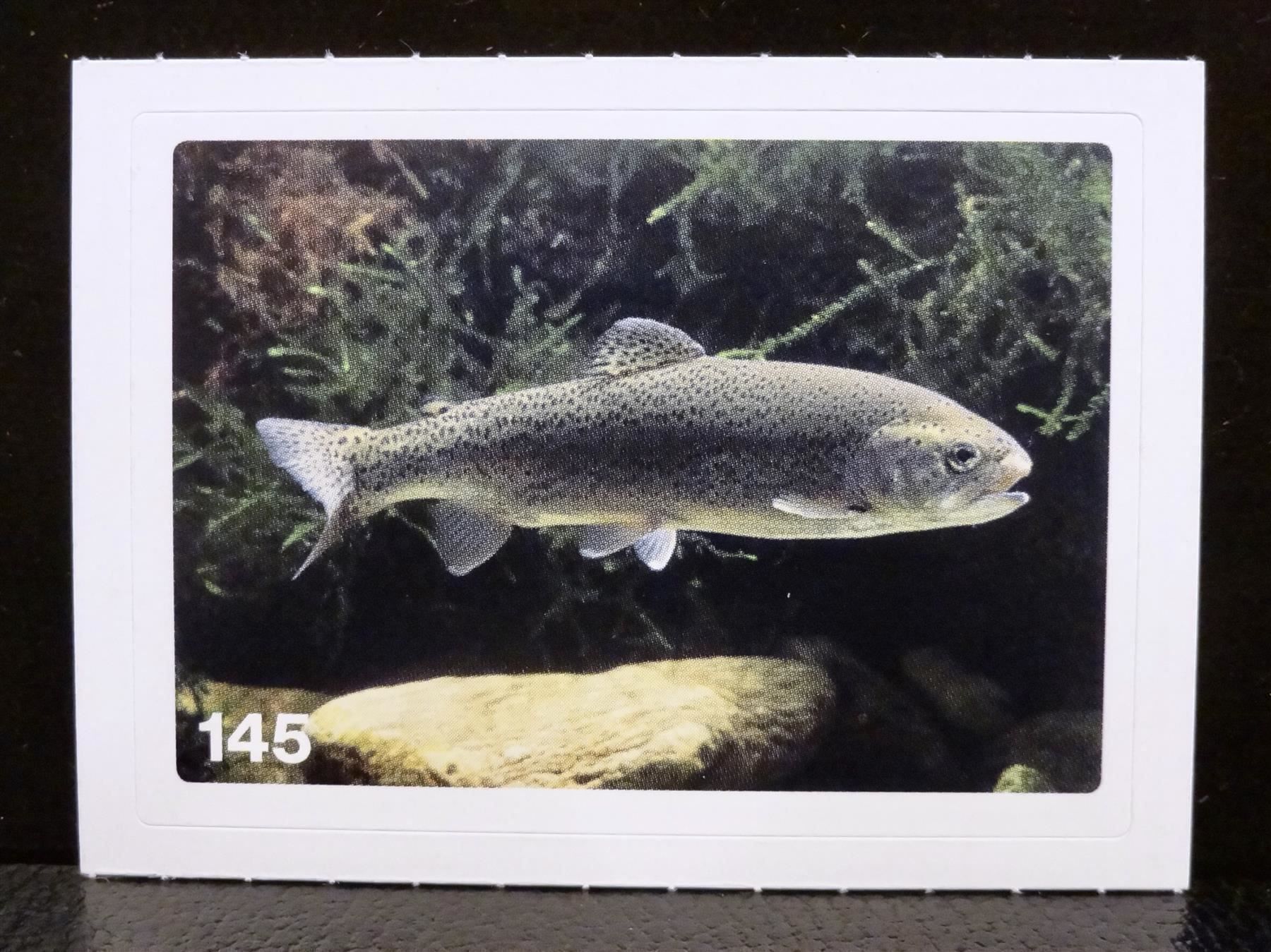 Migros Cartes à collectionner: MIGROS MANIA Nature Detectives Nr. 145 – D'occasion à Kerzers par zimmergruen