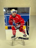 Philippe Maillet SC Rapperswil-Jona Lakers SportZoo 2025/26