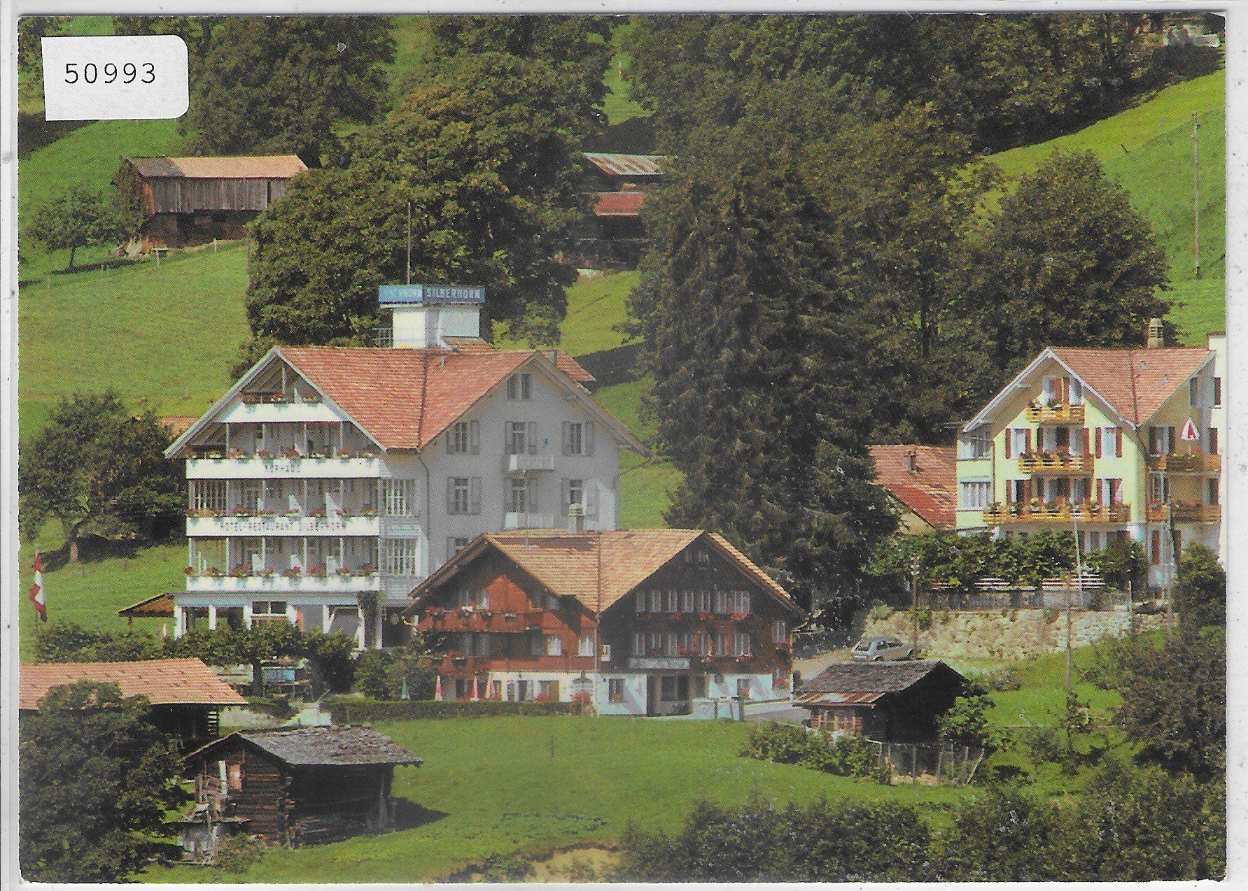 Cartoline postali: Hotel Kurhaus Silberhorn - Beatenberg – Usato da Ettingen venduto da Kartenplanet