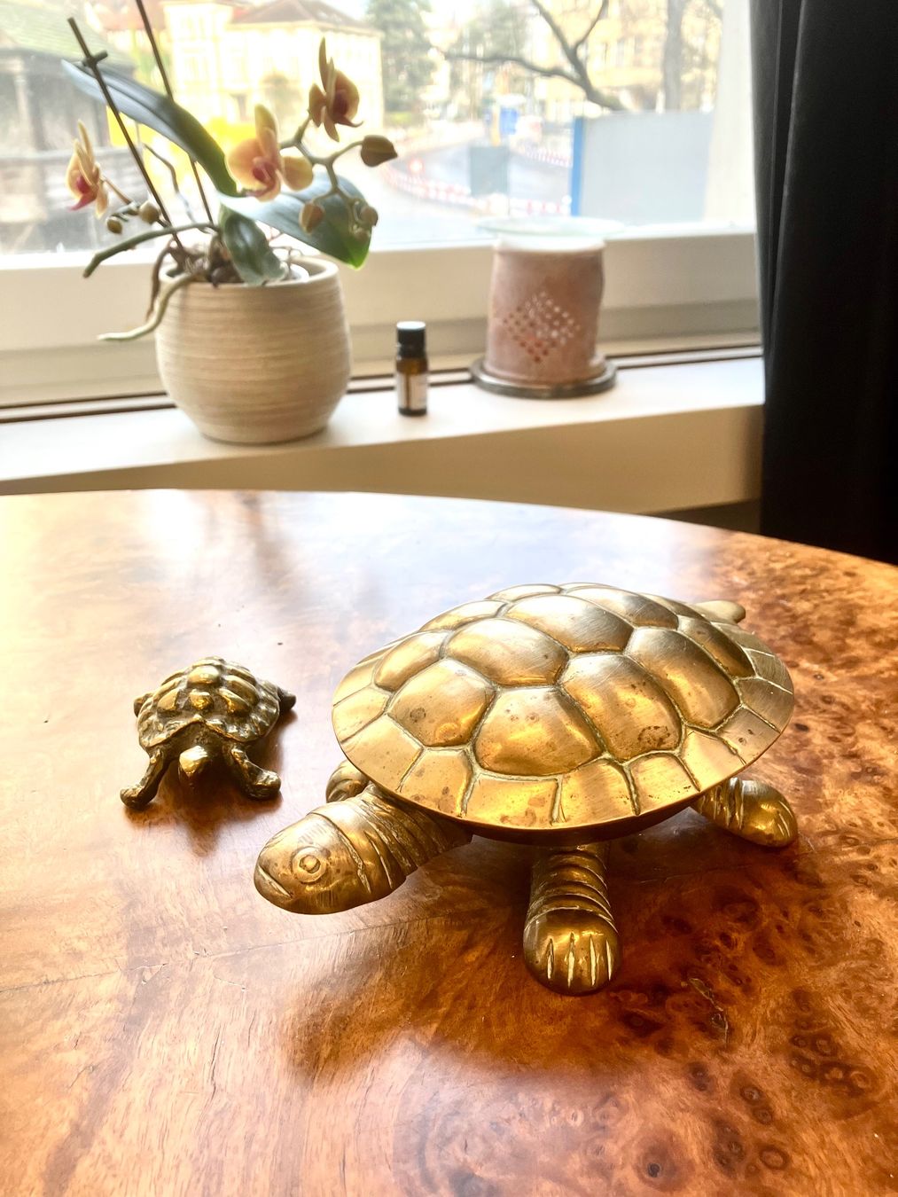 Sculture & Statue: Zwei Vintage Schildkröten aus Messing – Usato da Schaffhausen venduto da NinaRicardo 1