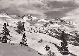 Montana Le Trubelnstock
