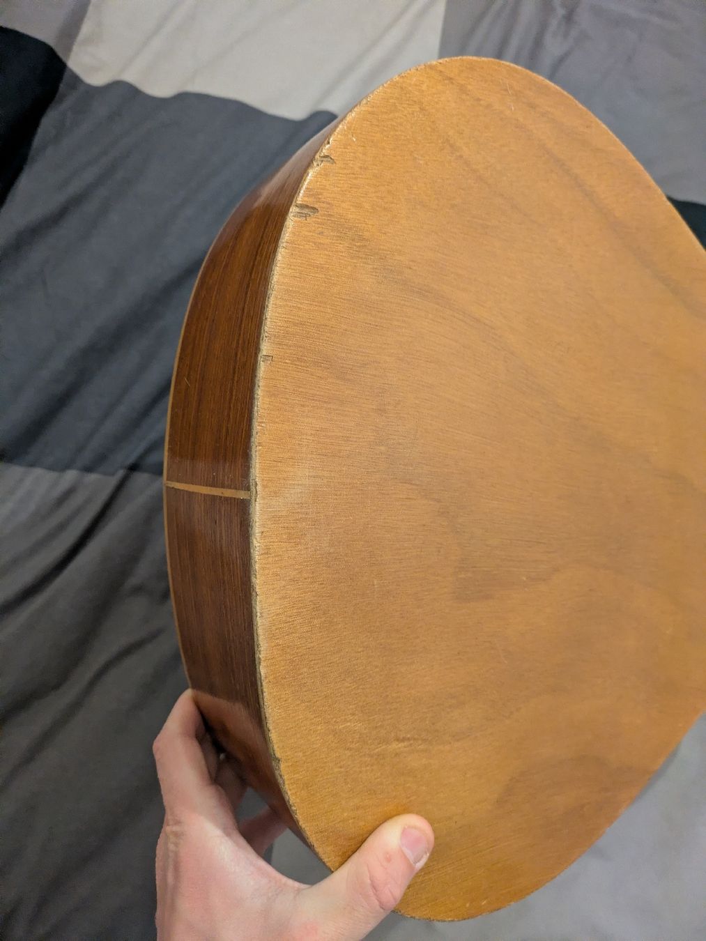 Strumenti musicali: Guitare – Usato da Perly venduto da ric_v2sd 6