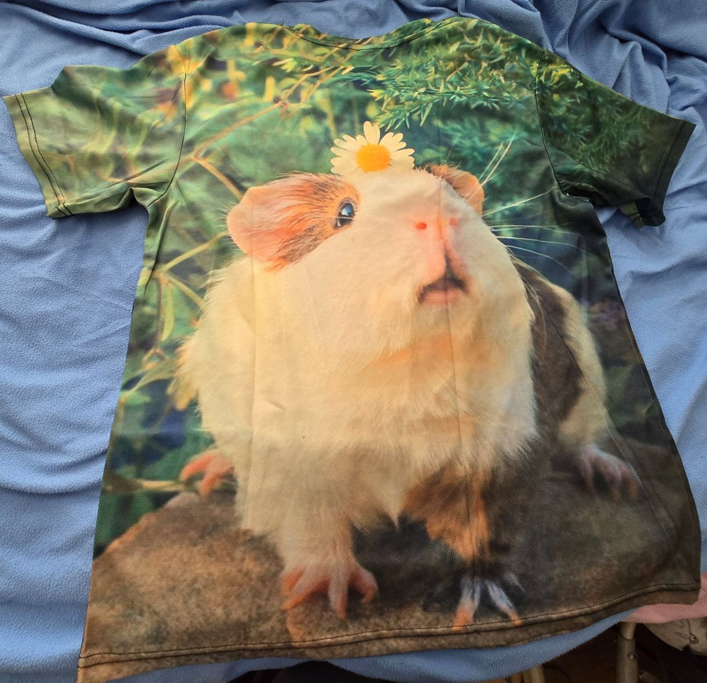 T-shirt: T-shirt grösse 2XL – Nuovo (secondo la descrizione) da Willisau venduto da isa117 1