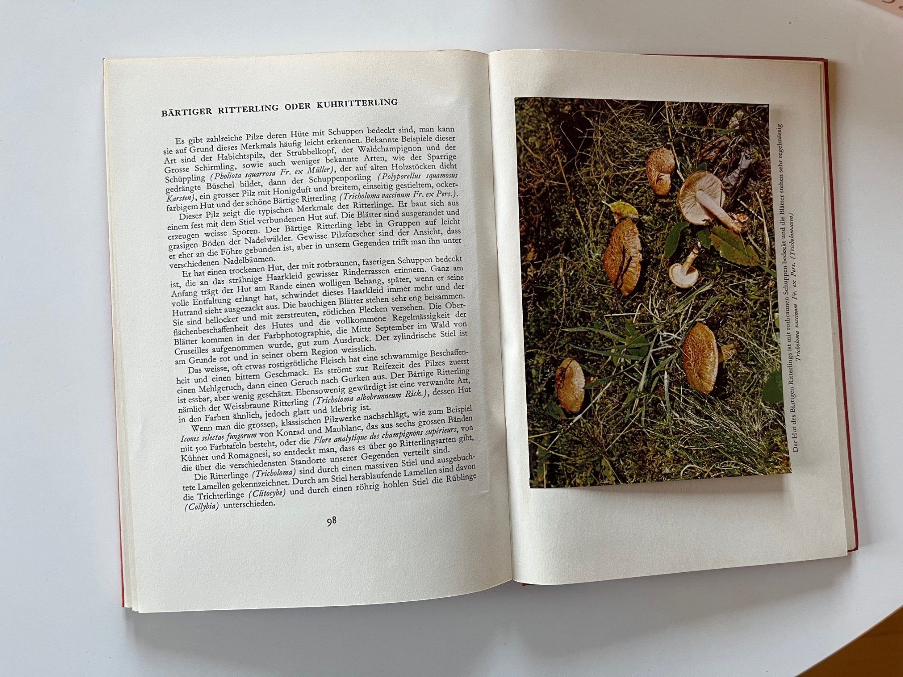 Bücher: Unsere Pilze – Gebraucht aus Laufen von Nuria44 3