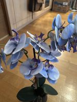 Orchideen Blue 40cm 