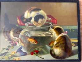 spielende Katzen, Chromolitographie, Charles Henry Blair