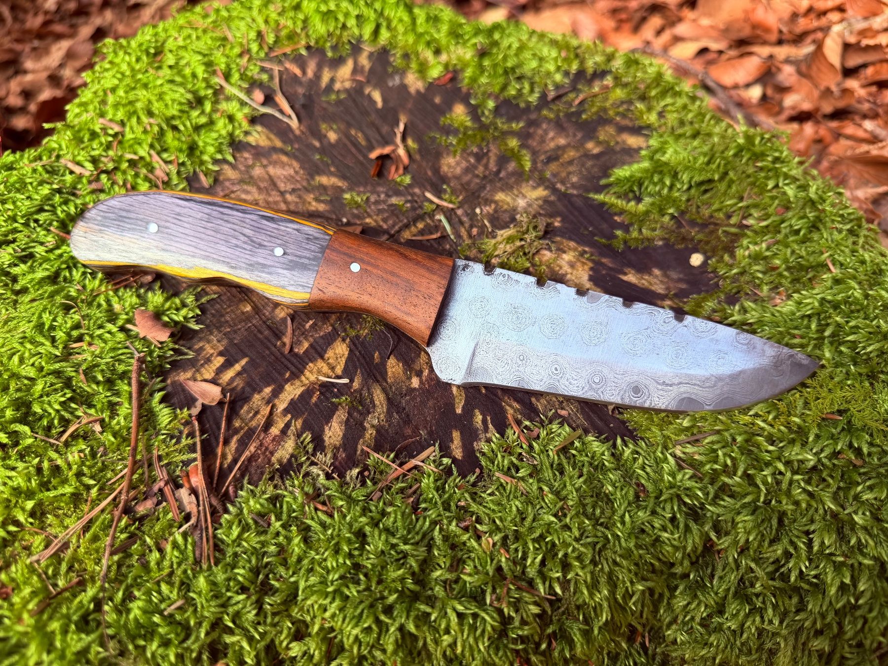 Accessoires: Damast Jagdmesser – Neuf (Voir description) à Luzern par asciva 2