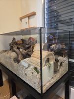 Kleintierkäfig / Terrarium