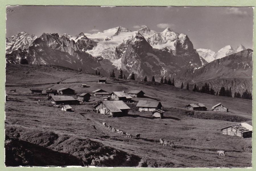 Cartoline postali: Balisalp, Hasliberg, um 1950 – Usato da Frauenfeld venduto da POML