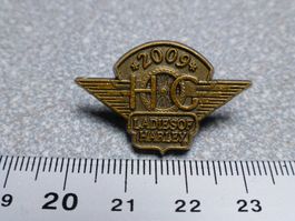 PIN PINS HARLEY DAVIDSON HOG Ladies of Harley