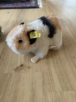 Steiff - Swinny - Meerschweinchen, Sammlerstück