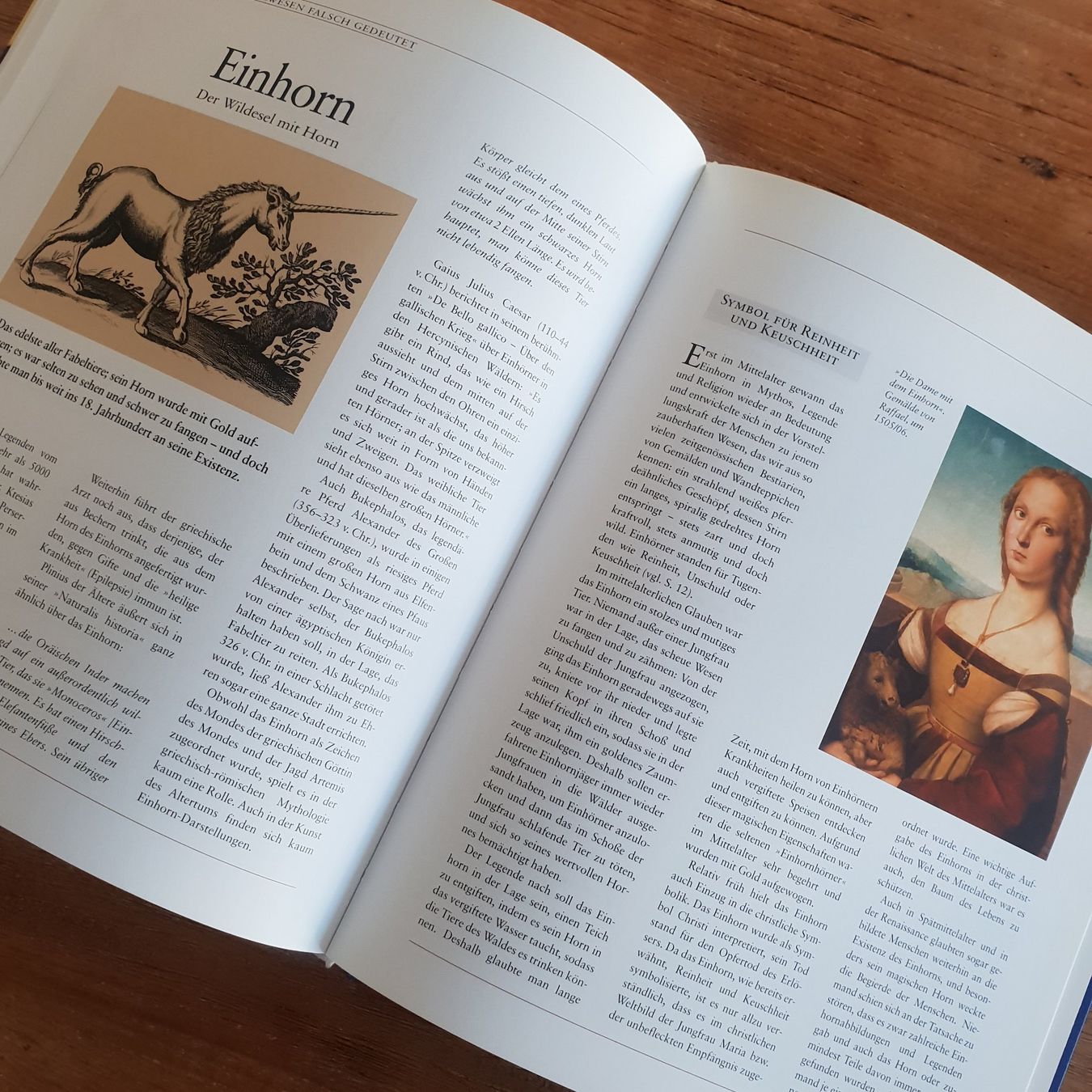 Bücher: 🐸 Von Drachen, Yetis und Vampiren – Gebraucht aus Môtier (Vully) von Frogs 7