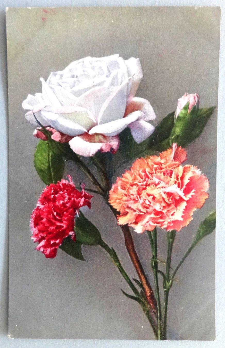 Cartes postales: Rose et oeillets – D'occasion à Fétigny par Billy2miny