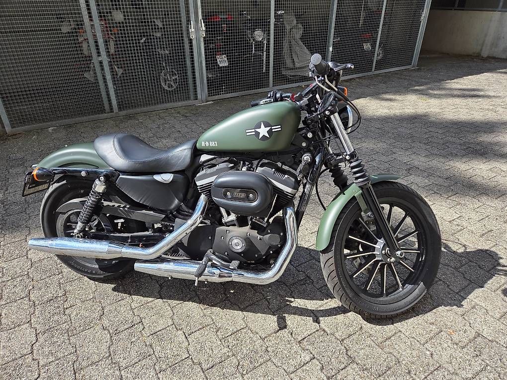 Cruisers: Harley-Davidson XL 883 – D'occasion à La Croix-de-Rozon par SDI_83
