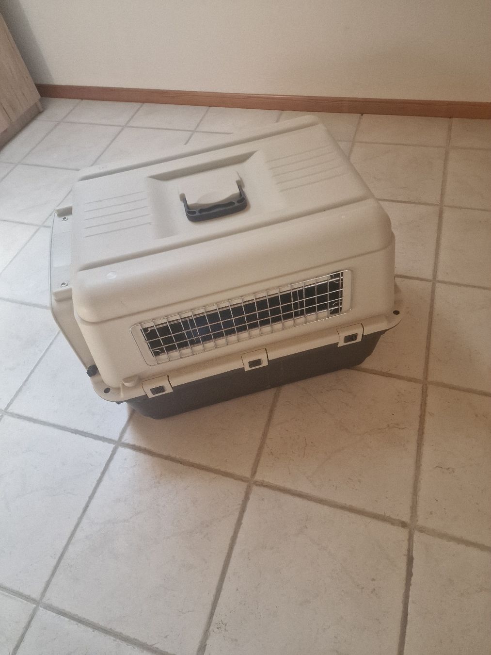 Altro in Decorazioni & Accessori: Hundebox – Nuovo (secondo la descrizione) da Ursenbach venduto da nicole90 2