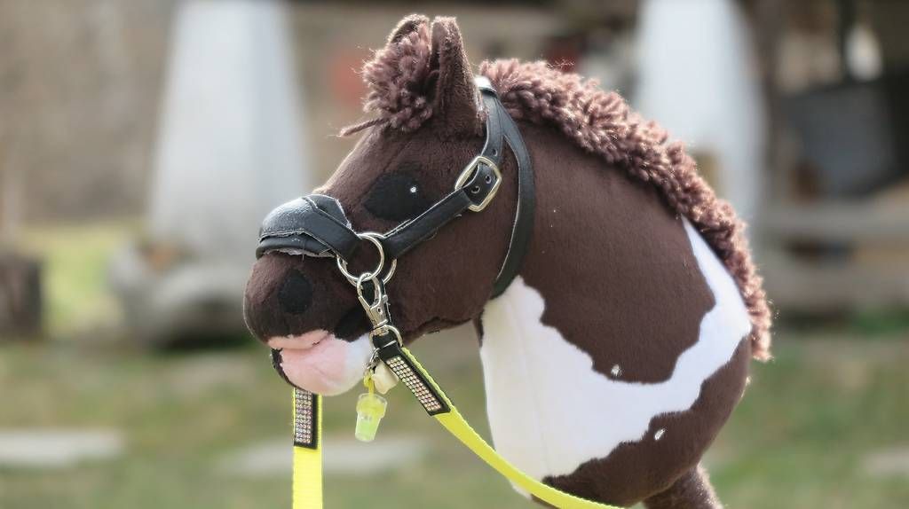 Giocattoli: Hobby Horse Trensen Aufträge  – Usato da Susten venduto da Kht_formidable 1