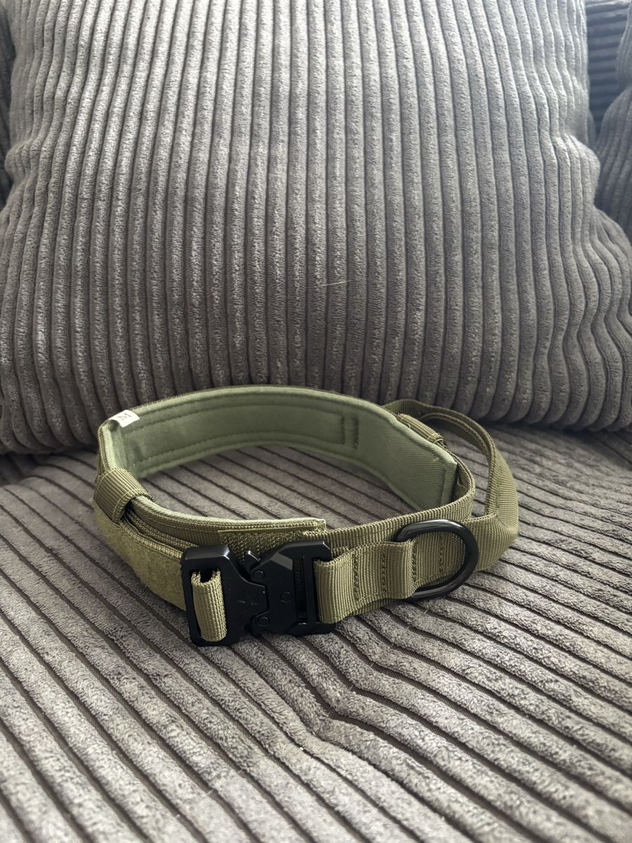 Leine & Halsband: Hundehalsband – Gebraucht aus Schwerzenbach von nadjaliz5
