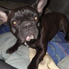 Profile image of Coby1958