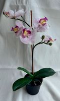 Kunst-Orchideen - rosa
