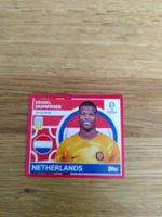 🤩 NED 8 - Topps Euro 2024 Sticker