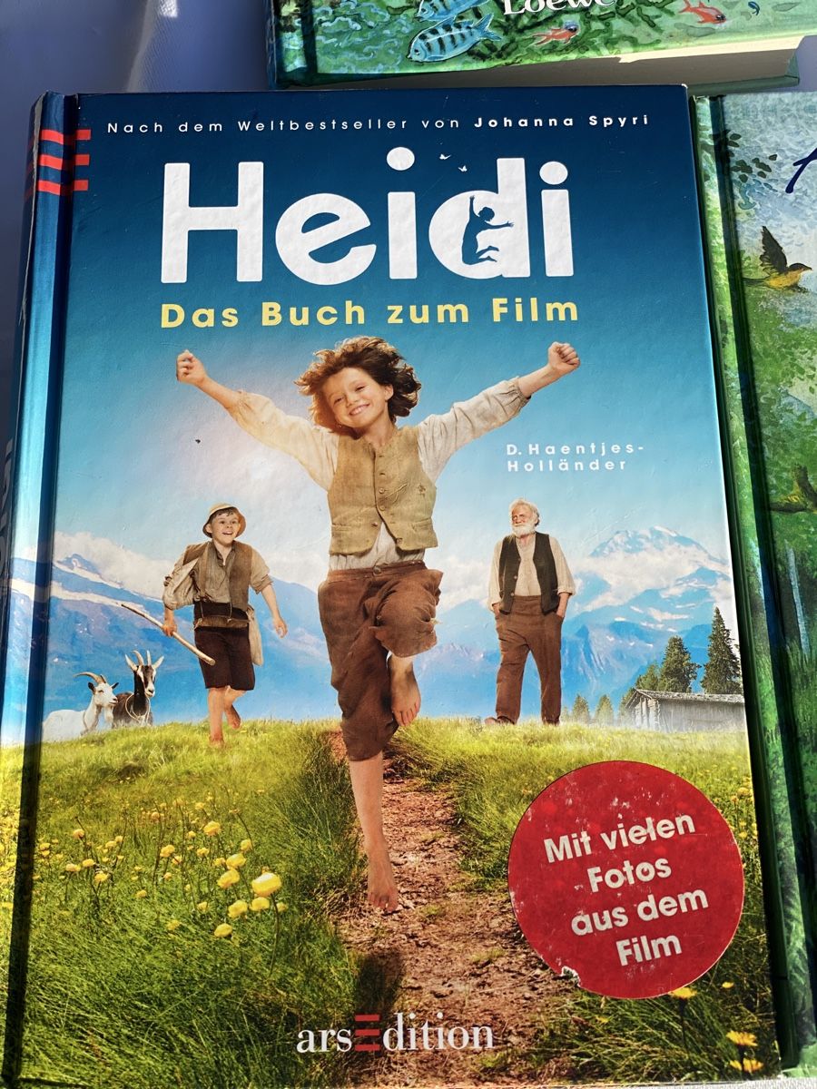 Bücher: Astrid Lindgren: Ronja Räubertochter - Jugendbuch Klassiker – Gebraucht aus Brütten von Acutis2006 1