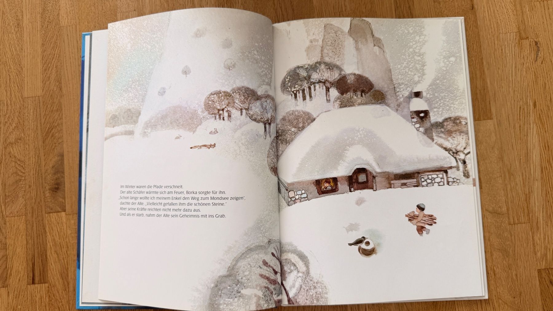 Libri: Buch - Der Schatz am Mondsee – Usato da Winterthur venduto da Secondhand-Family 5